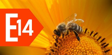 E14 - CSS: Box shadow