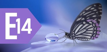 E14 - HTML: Błędny znacznik&nbsp;marquee