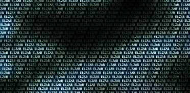 Zakłady Urządzeń Komputerowych Elzab&nbsp;S.A.