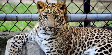 Ogrody zoologiczne w Polsce