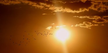 Jak przetrwać upał