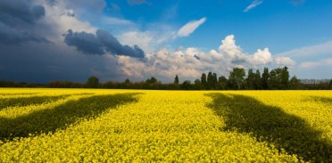 Jak rozmawiać z dziećmi i uczniami na temat sytuacji w Ukrainie