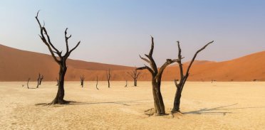 Jak przetrwać upały?