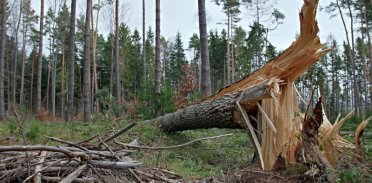 Jak zabezpieczyć się przed wichurą?