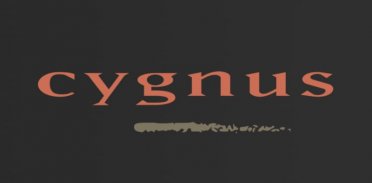 Cygnus Solutions
