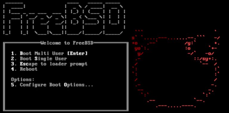 Rocznica premiery FreeBSD