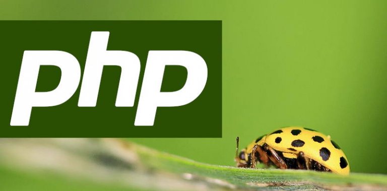 PHP: Statystyki pliku